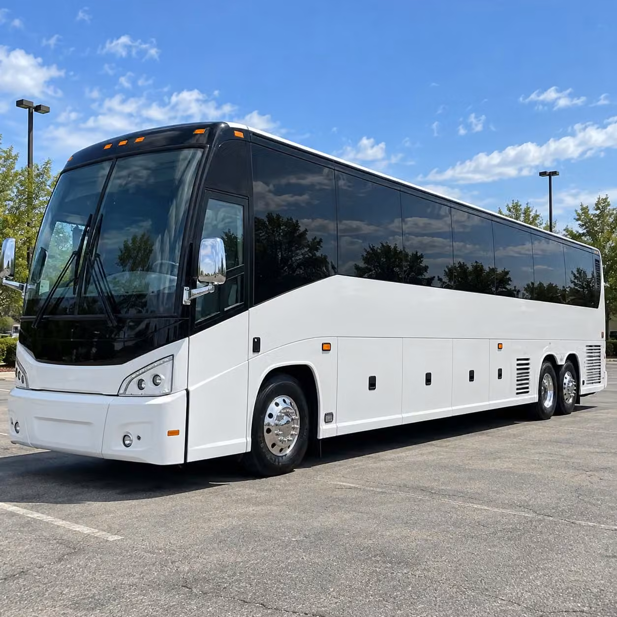 choosing the right bus size for your bellingham field trip has never been simpler